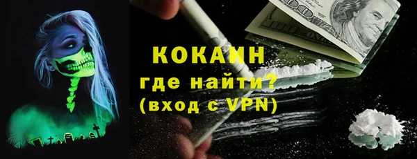 молекула духа Козловка