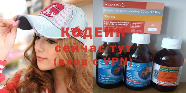 молекула духа Козловка