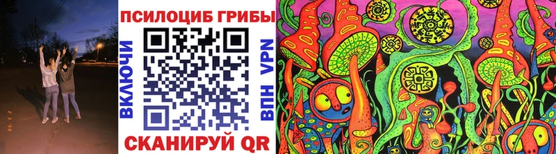 Купить закладки  Богородицк  Псилоцибиновые грибы ЛСД 